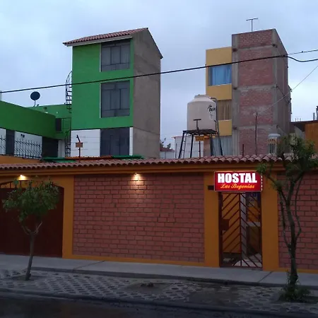 Hostal Las Begonias-2
